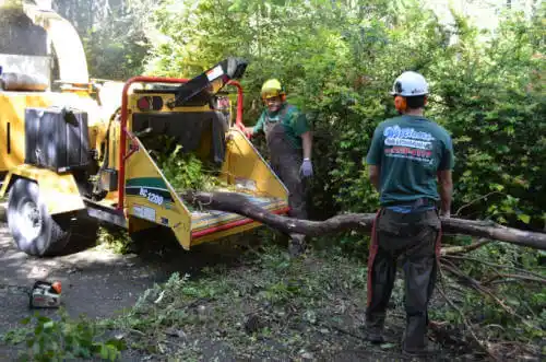 tree services Marengo